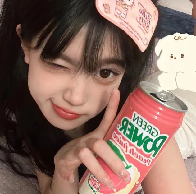 每天都在征服生活