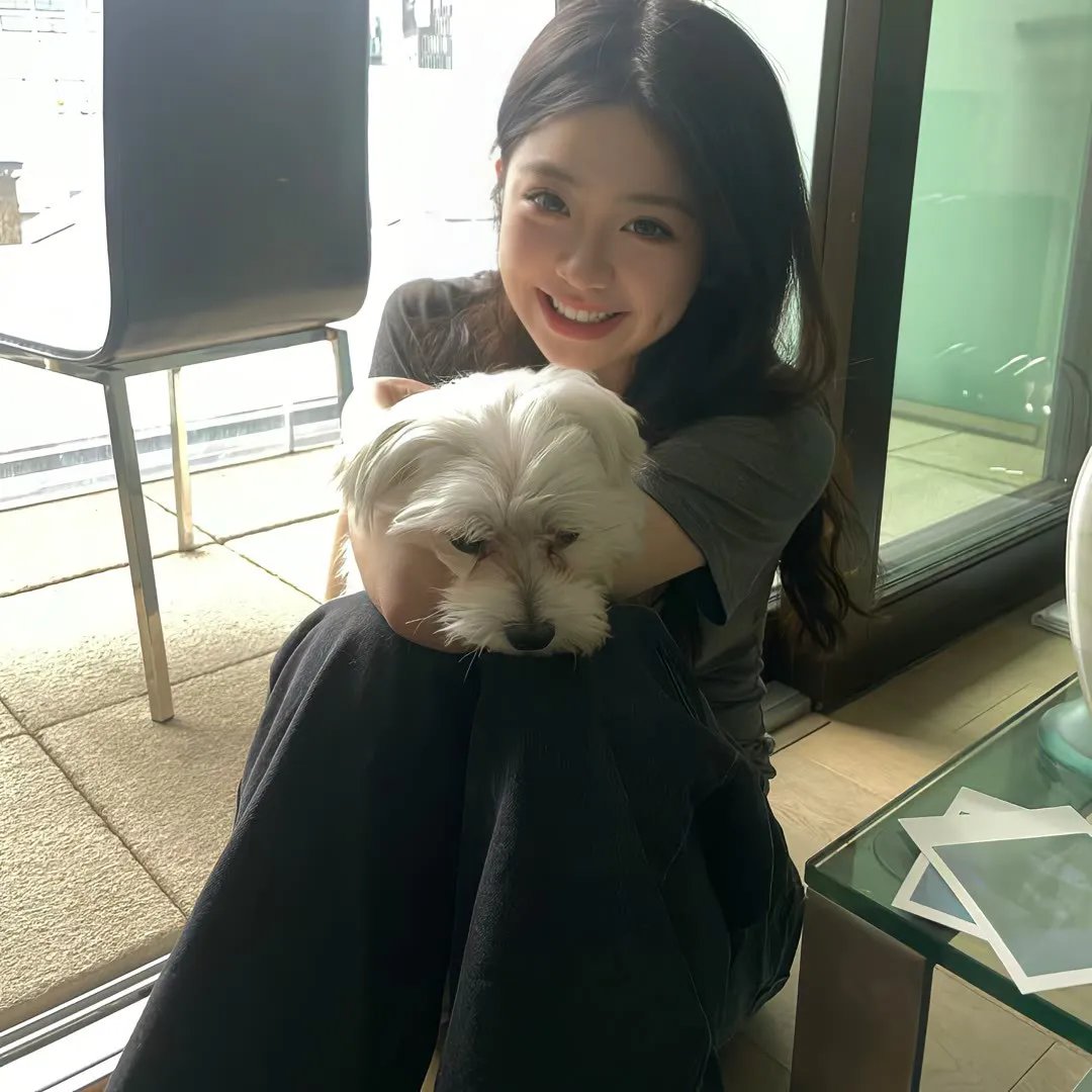 顾少,夫人她不要你了